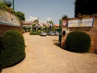 General view
 di Leucosya