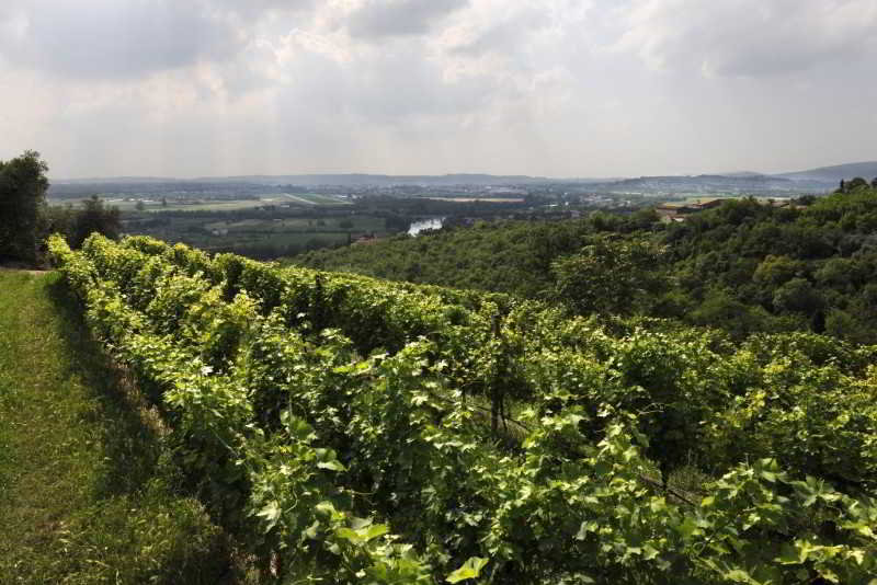 General view
 di Delser/ Ars Hospitandi