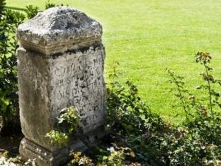 General view
 di Delser/ Ars Hospitandi