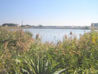 General view
 di Hotel Point Bleu