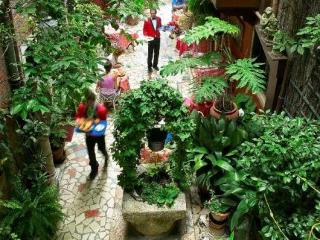 General view
 di Hotel Flora