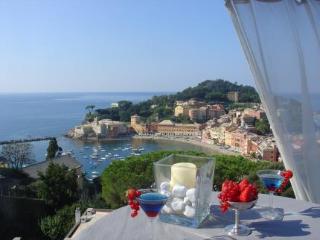 General view
 di Vis A Vis