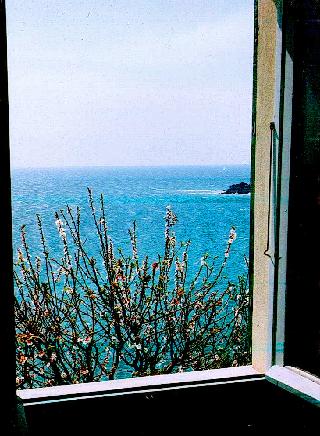 Romantic Casa Lorenzina Affittacamere, Genoa