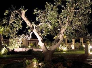 General view
 di Villa Barone