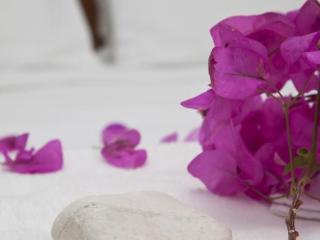 General view
 di Kekova Hotel