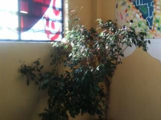 General view
 di Hotel Barry