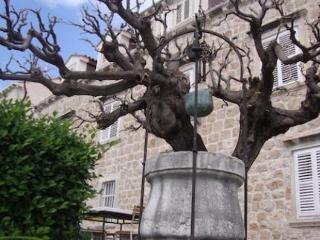 General view
 di Guesthouse Libertas