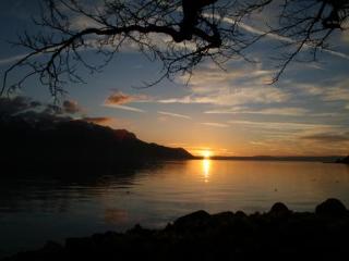 General view
 di Hotel Bon Port