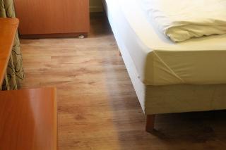 Dam & Orange Tulip Hotel, Amsterdam and vicinity