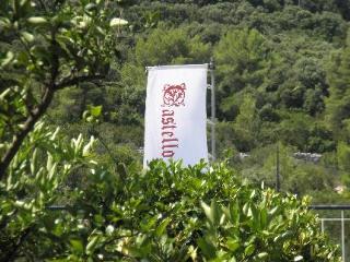 General view
 di Villa Castello