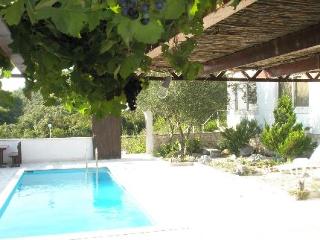 General view
 di Villa Castello