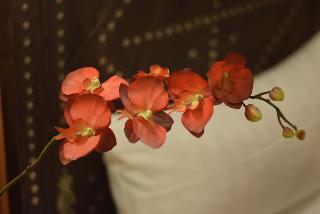 Villa Oriental, Frankfurt