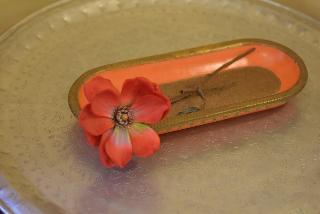 Villa Oriental, Frankfurt