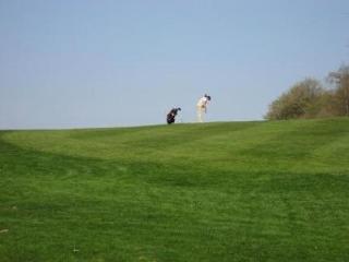 General view
 di Den Gamle Graensekro
