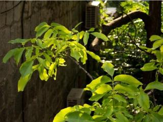 General view
 di Sunny Split