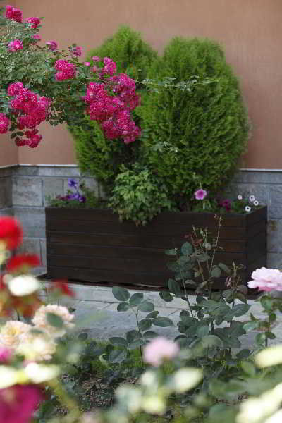 General view
 di Spa Hotel Calista