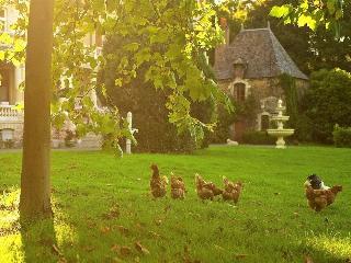 Chateau Le Breil, Colmar