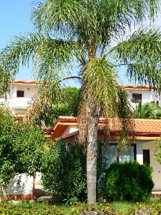 Residence Hotel La Taverna, Calabria