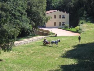 General view
 di Agriturismo Altobello