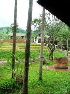 General view
 di Baanrai Lanna Resort