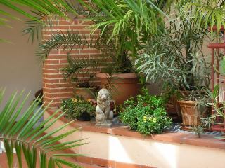 Castellane, Toulouse