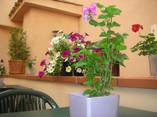 Castellane, Toulouse
