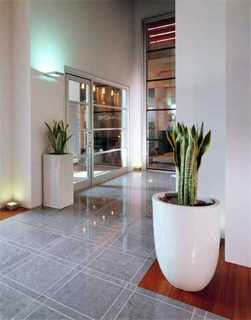 Lobby
 di Loft Hotel