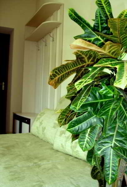 General view
 di Stella De Lux