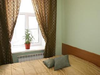 General view
 di Nevsky