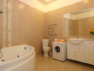 General view
 di Nevsky