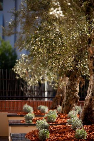 Renaissance Aix En Provence