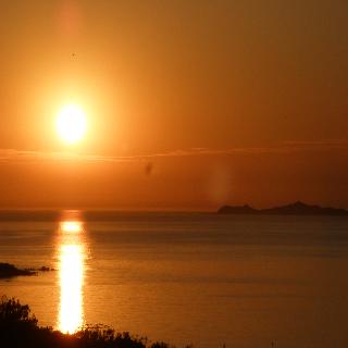 Celine, Corsica