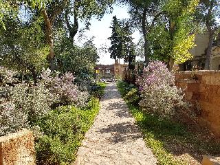 Tenute Al Bano, Puglia