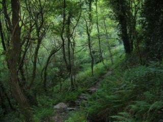 General view
 di CASA BRANDARIZ
