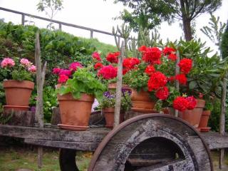 General view
 di CASA BRANDARIZ