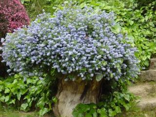 General view
 di CASA BRANDARIZ