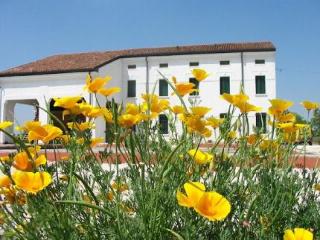 General view
 di B&B Casa Pascolone