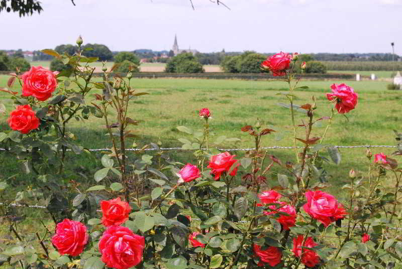 General view
 di De Traverse
