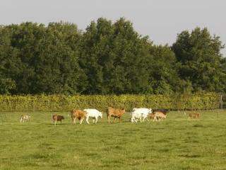 General view
 di De Traverse