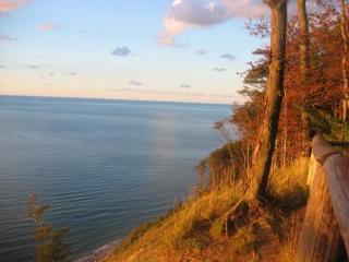 General view
 di Villa Martini