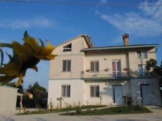 General view
 di Villa Ceccarini Fonte D Oro