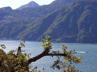 General view
 di Crotto Di Gittana