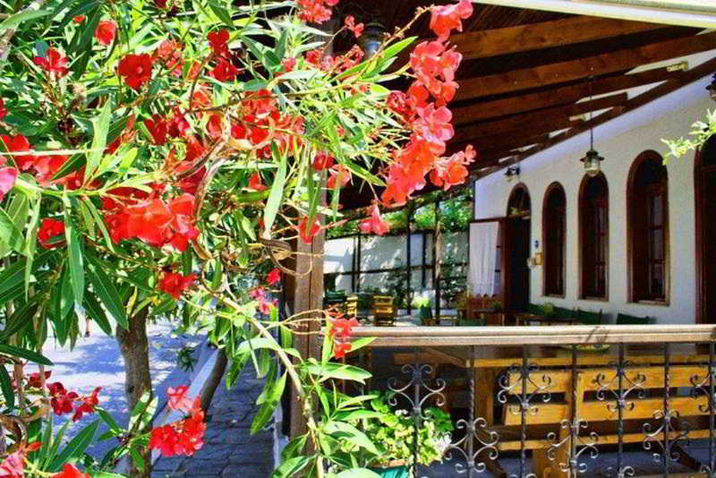 General view
 di Theopisti