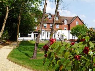 General view
 di Villa Mir Vami