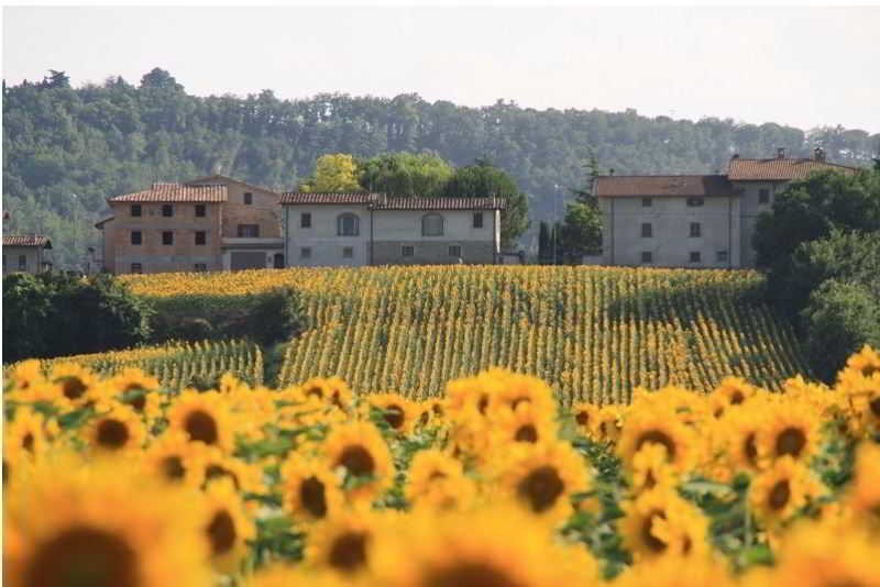 Agriturismo Podere Casenove, Perugia