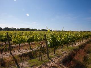 General view
 di Monte Da Charca