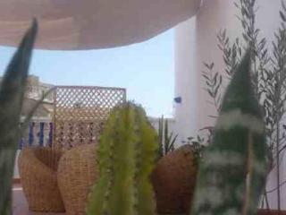 General view
 di Riadsafi