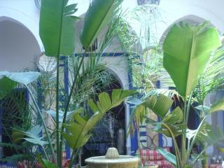 General view
 di Riadsafi