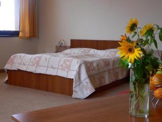 Room
 di Hotel Bistrica