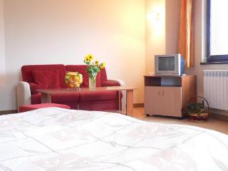 Room
 di Hotel Bistrica
